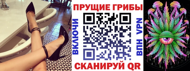 дарнет шоп  Ярцево  Псилоцибиновые грибы Psilocybine cubensis 